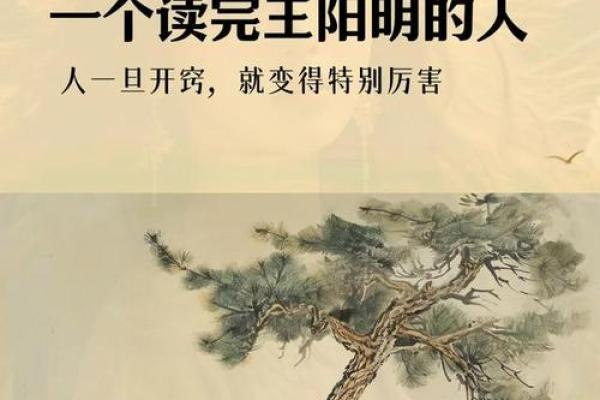 蛇入竹筒：探索命运与修行的智慧之路