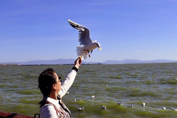 泉水命与各命相配的和谐美妙之旅