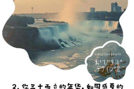 人生三十命：探索三十而立的智慧与启示