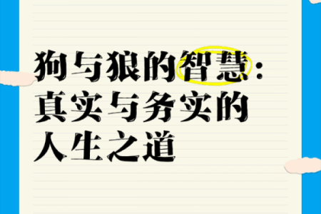 属狗命：守护忠诚与勇气，探索人生的智慧之路