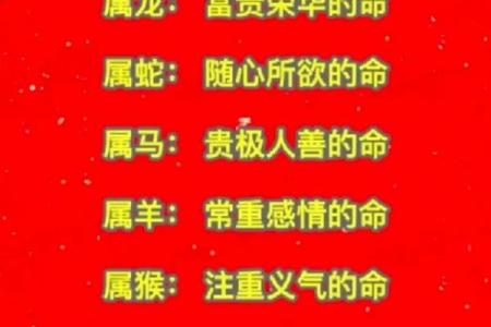 生肖女命的五条命运解析：你是如何影响自己人生的？