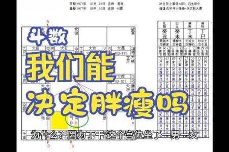 命理学中的胖瘦观：越胖越好看的秘密探讨