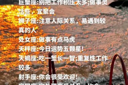 每个星座的后代运势解析：深入探讨他们的命运与个性