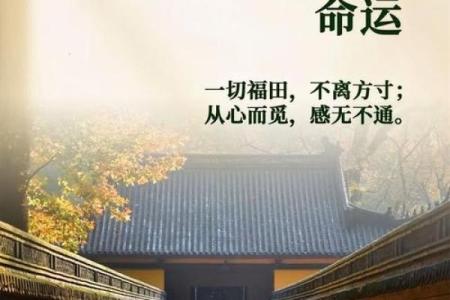 什么样的命理才算好命？教你如何识破命运的真相！