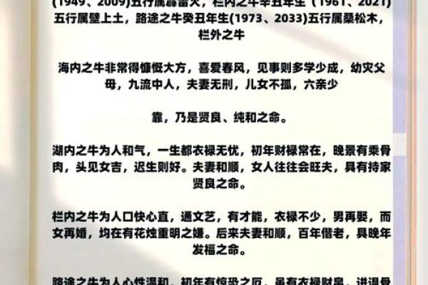 1997年属牛的人生命运解析：如何把握机会创造辉煌