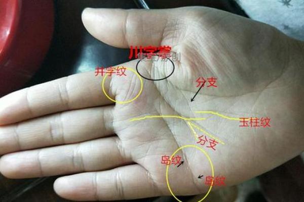 什么样的手纹才能判断是簸箕命?揭秘手纹与命运的神秘关系! 什么样的手纹才能判断是簸箕命?揭秘手纹与命运的神秘关系!