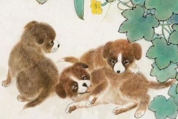 属狗人的命运之谜：金木水火的影响解读