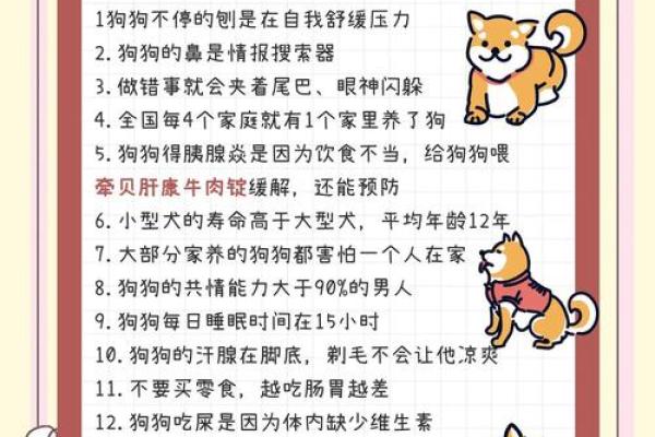 什么是土豪养狗的命?揭示富人养宠的背后故事! 什么是土豪养狗的命?揭示富人养宠的背后故事!