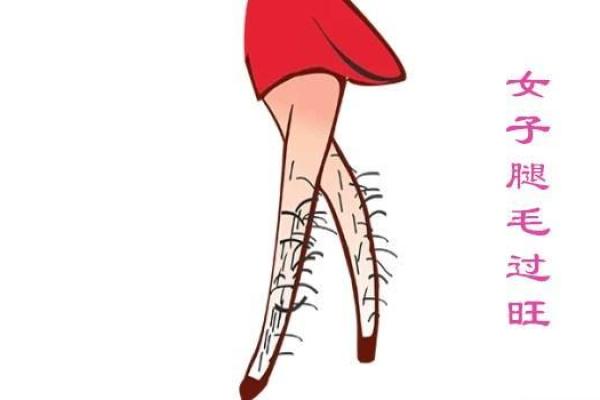 揭秘:腿毛多的女人,她们的命运与生活真相! 揭秘:腿毛多的女人,她们的命运与生活真相!