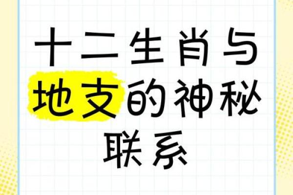 解密五命六命：生肖与命理的神秘联系