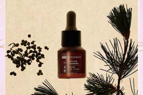 解析辛丑年五行命理：探寻牛年背后的神秘能量与福运