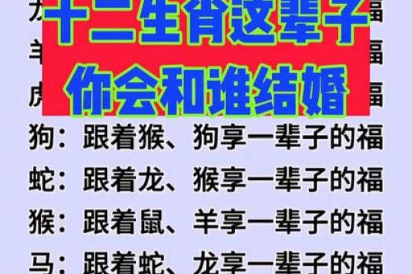 属相不和对命运影响探讨：如何化解与调和