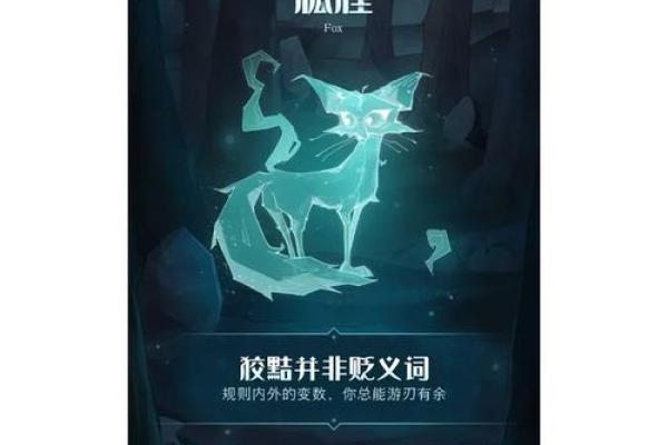 命中注定的龙头龟：你的守护神和人生伴侣