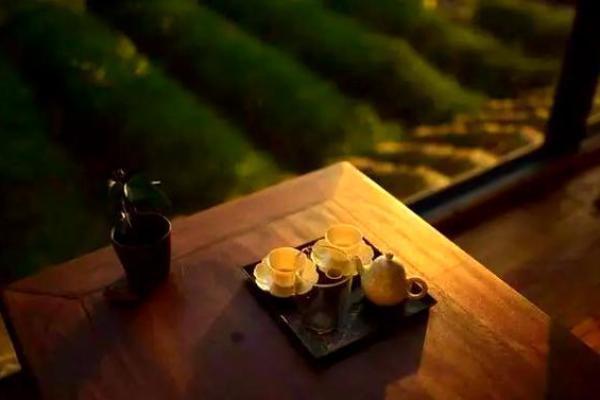 属虎阴历十月初八的命理解析:探索命运的奥秘与人生智慧 属虎阴历十月初八的命理解析:探索命运的奥秘与人生智慧