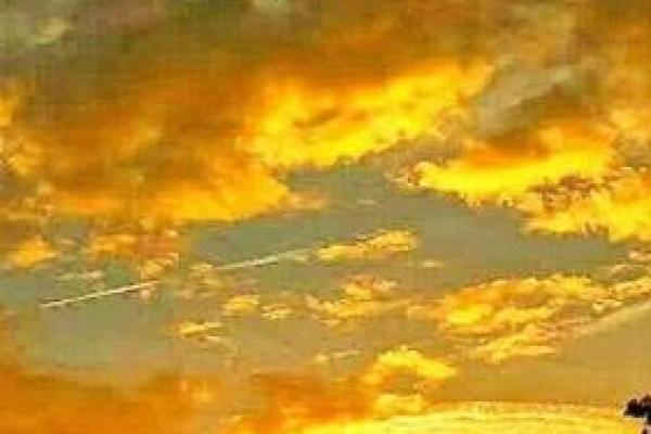 属虎的马烈如日中,命运如何掀起人生波澜? 属虎的马烈如日中,命运如何掀起人生波澜?