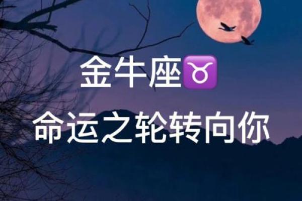 金牛座为何命运多舛，细数背后原因与解读