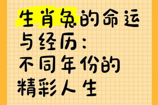 生肖兔的人：温柔与智慧的化身，探索生肖背后的性格特征与人生轨迹