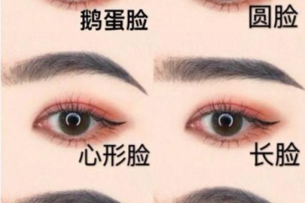 眉毛形状与命运：揭示富贵命的秘密！