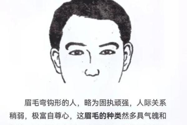 眉毛形状与命运：揭示富贵命的秘密！