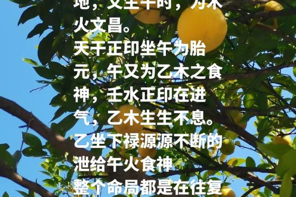 解密辛巳日癸未月：命理中的财富与智慧之道