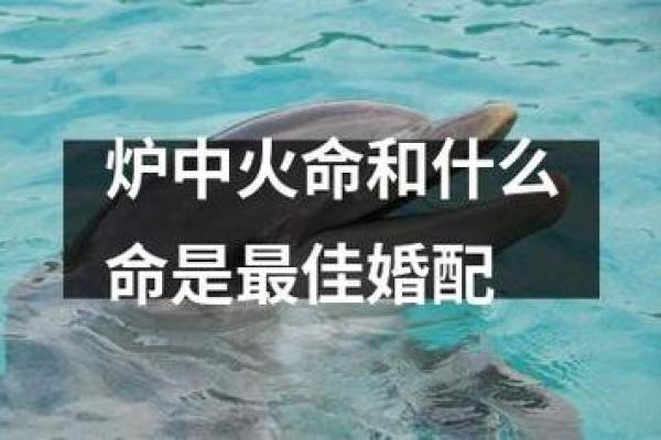 火命人与其他命人的最佳配对分析 火命人与其他命人的最佳配对分析