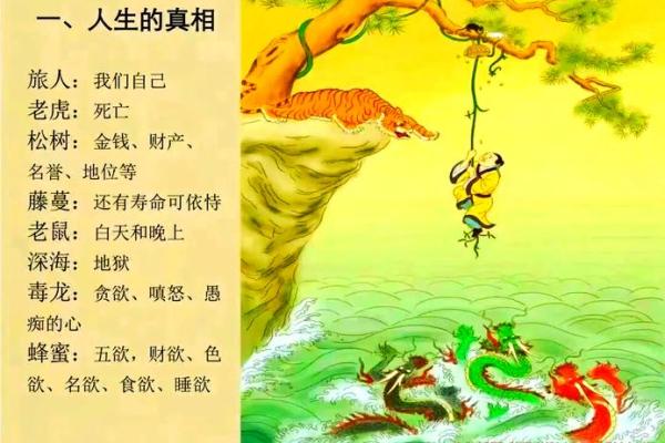 三九之命：探寻命格背后的深意与人生影响