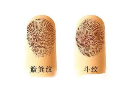 十指全是簸箕的女人：掌握命运的智慧与坚韧