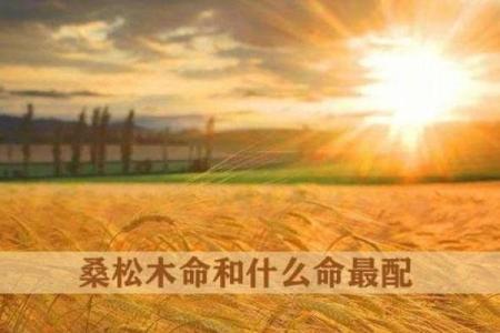 桑松木命与其他命理的绝妙搭配解析