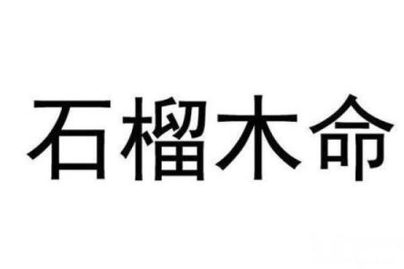 石榴木命与各命相合的完美搭配分析