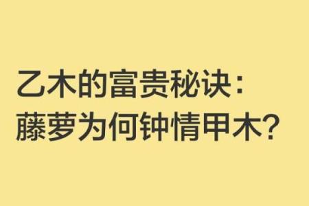 如何根据命理喜用甲木性情吸引乙木女生的心？