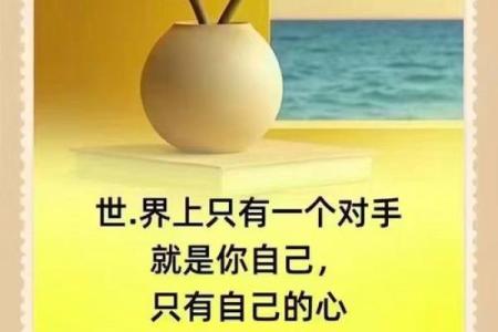 什么命就是什么命，让我们学会接受人生的馈赠与挑战