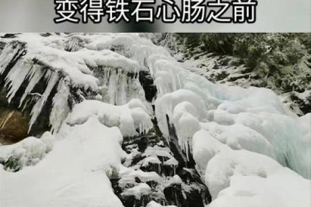 你愿意为了心爱的东西付出半条命吗？探讨“欲望与生存”