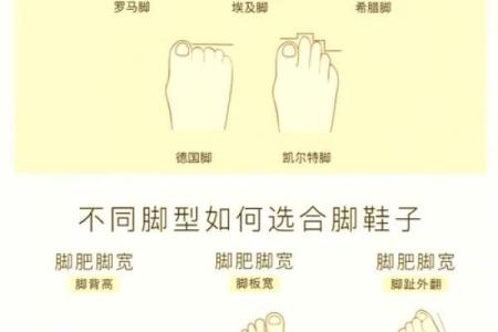 女人的脚型与命运：揭开脚下秘密的迷雾