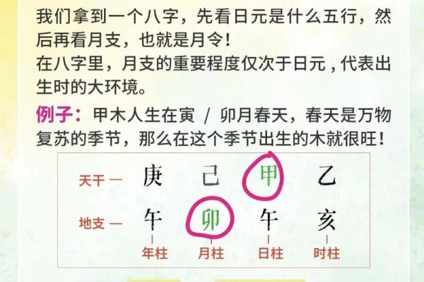 如何根据命理匹配八字，优化人生选择与运势提升