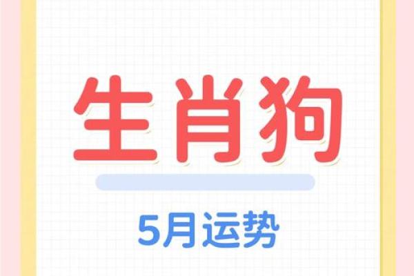属狗五月出生的人命理解析:性格、命运与运势 属狗五月出生的人命理解析:性格、命运与运势