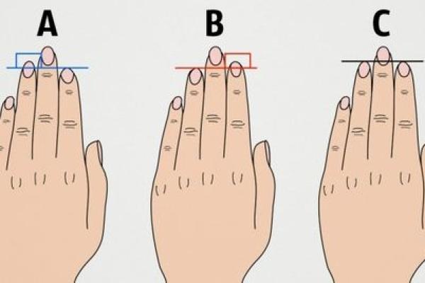 手指头的秘密:从长度看命运与个性 手指头的秘密:从长度看命运与个性