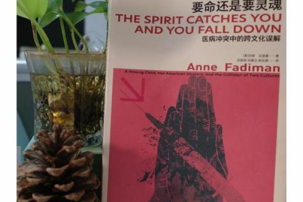 深入探索修命师:揭示命运与人生的奥秘 深入探索修命师:揭示命运与人生的奥秘