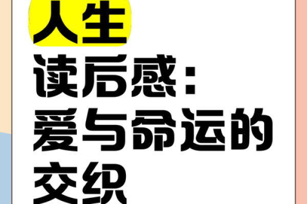命运与你，我的选择，完美交织的旋律与人生