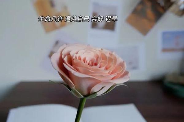 桑松木命与水命的完美结合:寻找理想伴侣的智慧之道 桑松木命与水命的完美结合:寻找理想伴侣的智慧之道