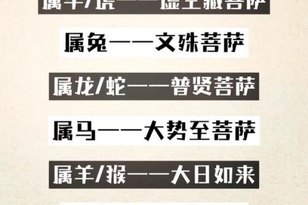 属龙的人五行属什么?探秘命运的奥秘与人生道路! 属龙的人五行属什么?探秘命运的奥秘与人生道路!