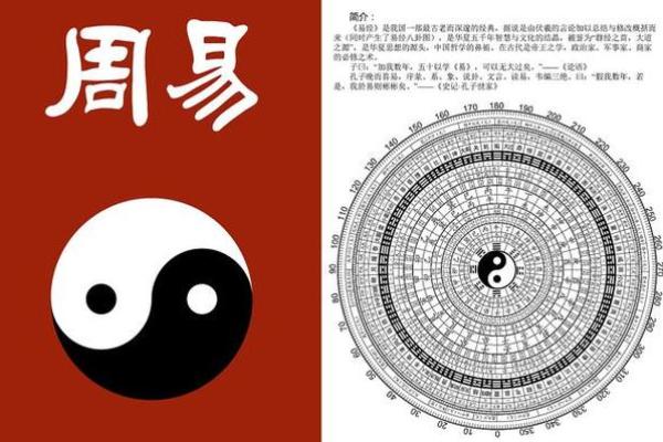 七杀配财印：女命中如何解读与运用的奥秘