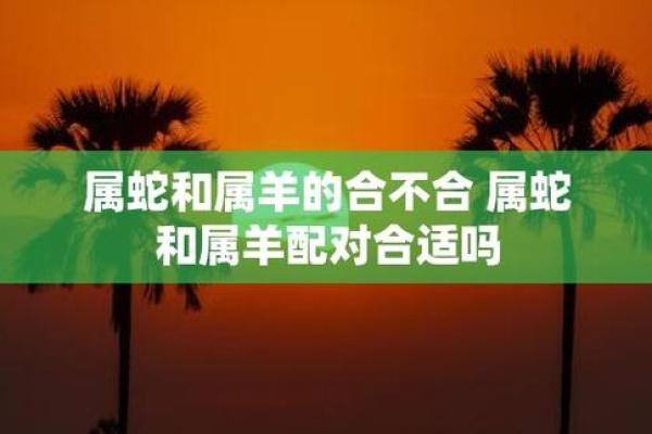 属羊男命与哪些生肖不合，十二生肖的配对玄机！