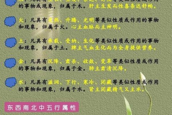 山下火命的五行特性及其喜克命解析