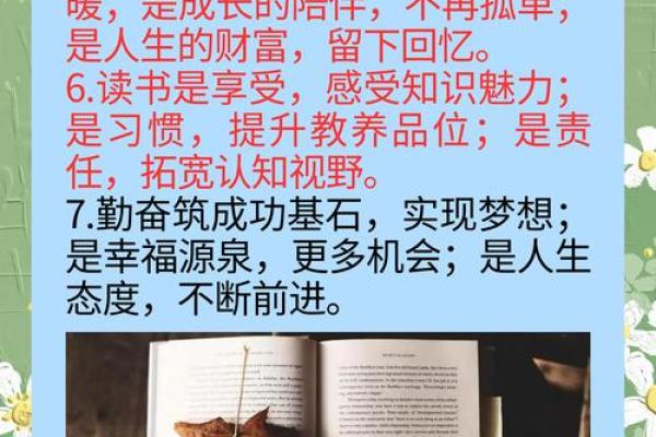 命运交织下的心灵共鸣：我与你，心连心的美好旅程