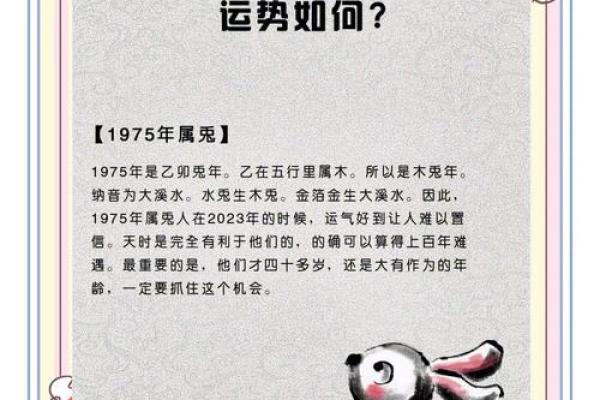 属兔的24岁命运：揭秘生肖兔的未来与潜力