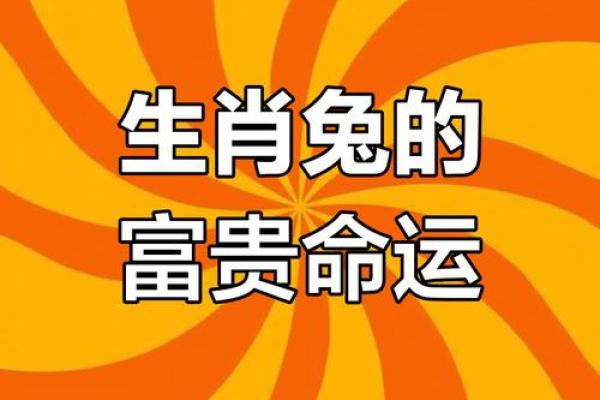 属兔的24岁命运：揭秘生肖兔的未来与潜力