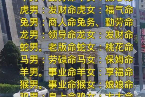 如何查询自己的命格属相,揭开命运的神秘面纱 如何查询自己的命格属相,揭开命运的神秘面纱