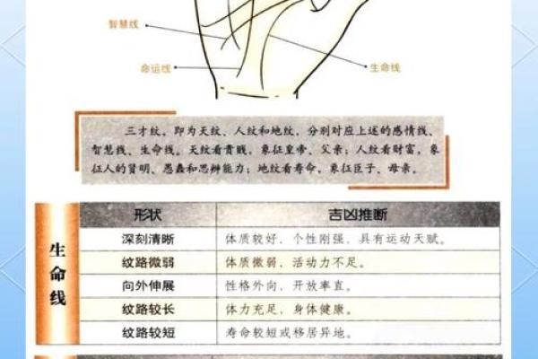 揭示手纹之谜：女性智慧与命运的一线牵