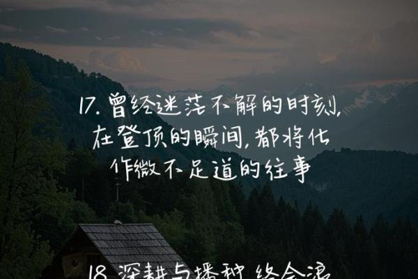 韭菜命：在生活的田野中挣扎与成长的哲学思考