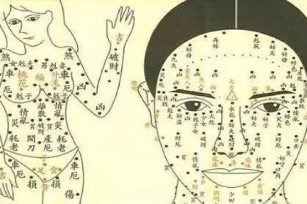 舌头太长的人命格解析:天生口才与挑战并存的命运 舌头太长的人命格解析:天生口才与挑战并存的命运